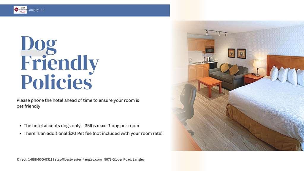 Best Western Plus Langley Inn Rum bild